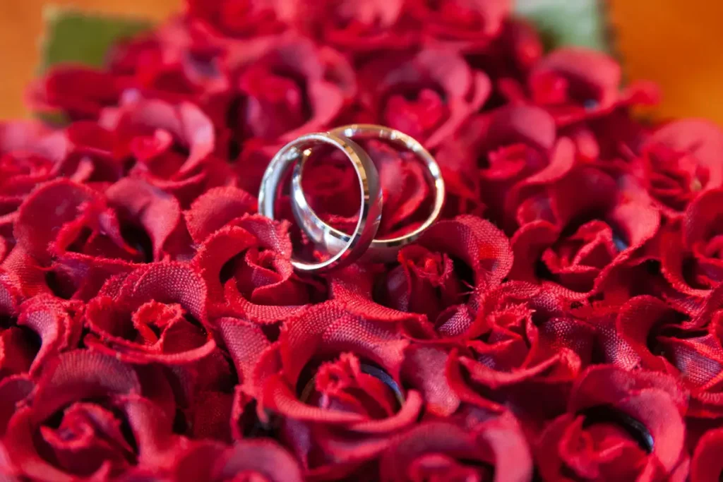 Hochzeit 5 Eheringeauf roten Stoff